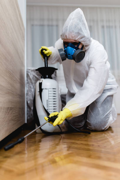 Best Indoor Pest Control  in Canon, GA